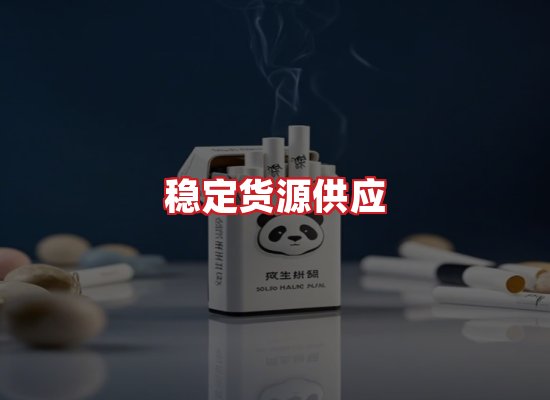 专业团队